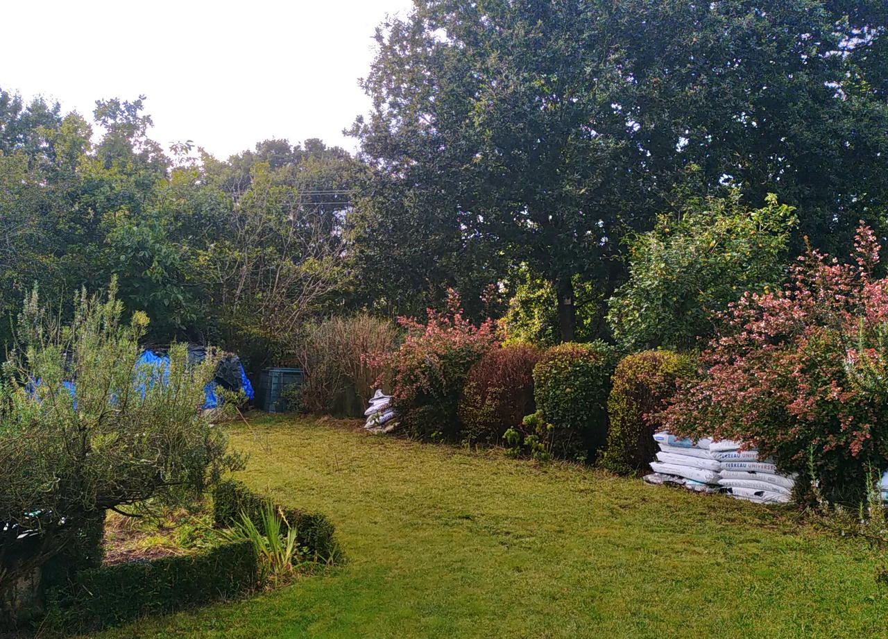 Terrain avant construction abri de jardin ossature béton, aspect bois